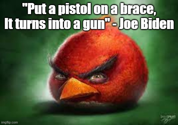 Realistic Red Angry Birds | "Put a pistol on a brace, It turns into a gun" - Joe Biden | image tagged in realistic red angry birds | made w/ Imgflip meme maker