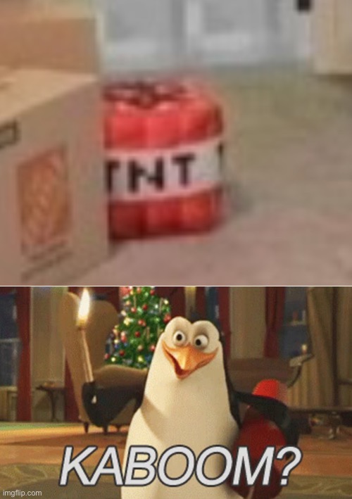 image tagged in penguins of madagascar kaboom | made w/ Imgflip meme maker