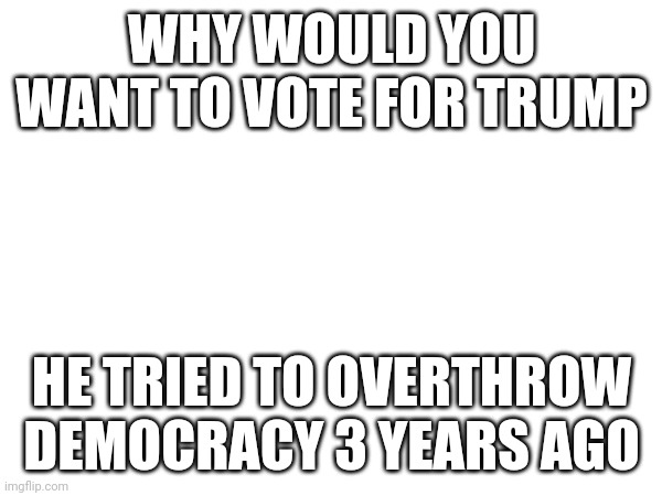 Why? | WHY WOULD YOU WANT TO VOTE FOR TRUMP; HE TRIED TO OVERTHROW DEMOCRACY 3 YEARS AGO | made w/ Imgflip meme maker