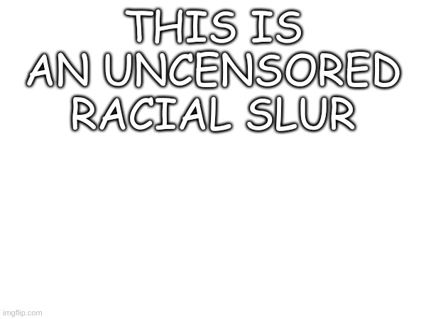 i will get  banned for this | THIS IS AN UNCENSORED RACIAL SLUR | made w/ Imgflip meme maker