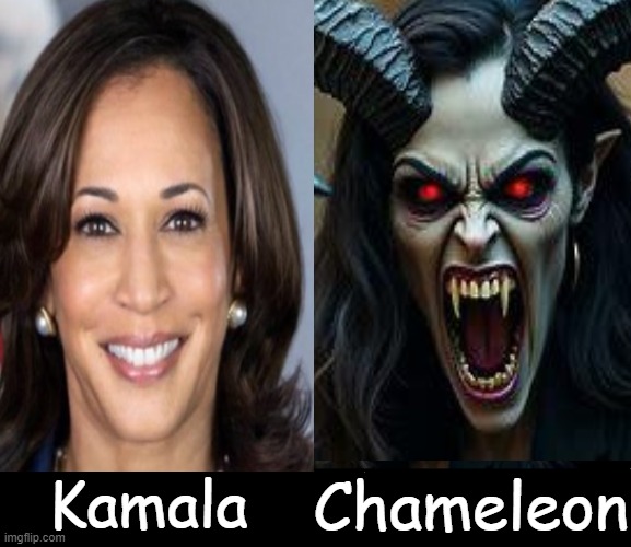 She's a political chameleon, changing her beliefs or behavior in order to please others or to succeed. | Kamala; Chameleon | image tagged in kamala harris,chameleon,commie,crusading censoring communist,democrat party,government corruption | made w/ Imgflip meme maker