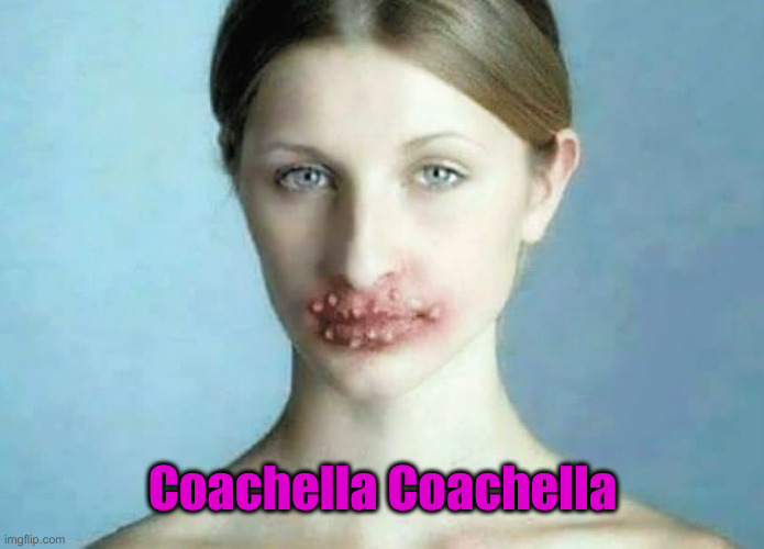 feeling cute coachella | Coachella Coachella | image tagged in feeling cute coachella | made w/ Imgflip meme maker