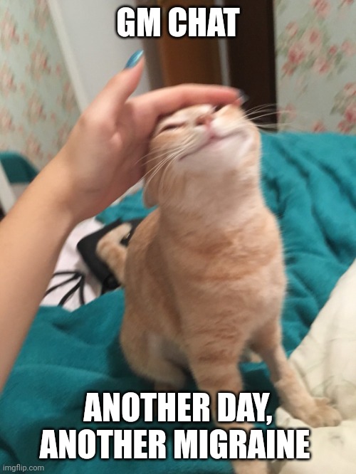 :3 | GM CHAT; ANOTHER DAY, ANOTHER MIGRAINE | image tagged in cat pat | made w/ Imgflip meme maker