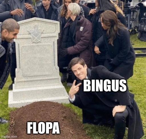 Grant Gustin over grave | BINGUS; FLOPA | image tagged in grant gustin over grave | made w/ Imgflip meme maker