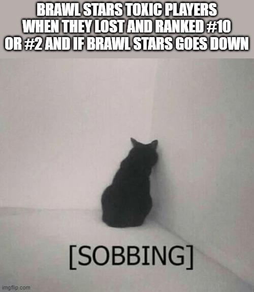 Brawl Stars toxic players if they lost and ranked #10 or #2 or if brawl stars has down needs to touch some grass! | BRAWL STARS TOXIC PLAYERS WHEN THEY LOST AND RANKED #10 OR #2 AND IF BRAWL STARS GOES DOWN | image tagged in sobbing cat,brawl stars,funny,funny memes,so true memes | made w/ Imgflip meme maker