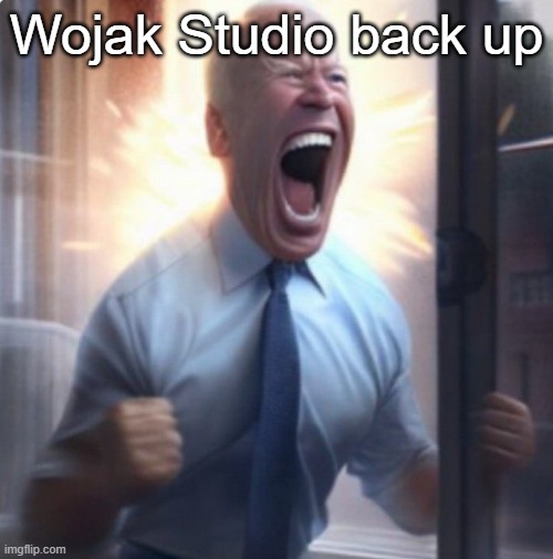 I can finally make a Claire Wojak (not a Soyjak , learn the difference | Wojak Studio back up | image tagged in biden lets go | made w/ Imgflip meme maker