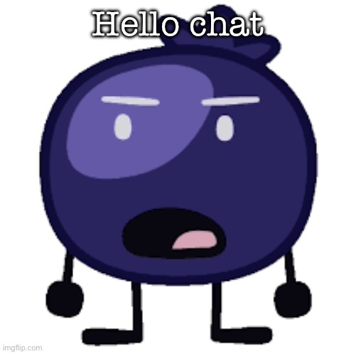 Displeased blueberry | Hello chat | image tagged in displeased blueberry | made w/ Imgflip meme maker