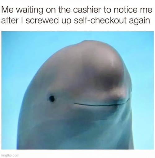 Still Waiting... | image tagged in dolphin,shopping,store,grocery store,ocean,sea life | made w/ Imgflip meme maker