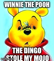 WINNIE THE POOH THE DINGO STOLE MY MOJO | made w/ Imgflip meme maker