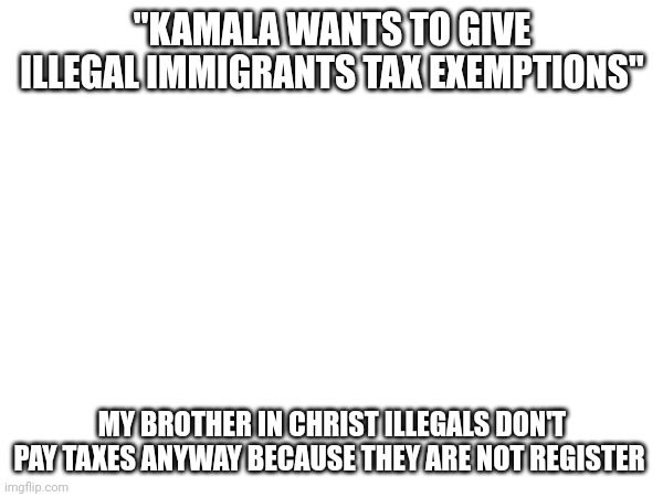 Neko you are fucking stupid | "KAMALA WANTS TO GIVE ILLEGAL IMMIGRANTS TAX EXEMPTIONS"; MY BROTHER IN CHRIST ILLEGALS DON'T PAY TAXES ANYWAY BECAUSE THEY ARE NOT REGISTER | made w/ Imgflip meme maker