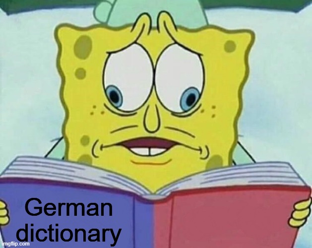 cross eyed spongebob | German dictionary | image tagged in cross eyed spongebob | made w/ Imgflip meme maker