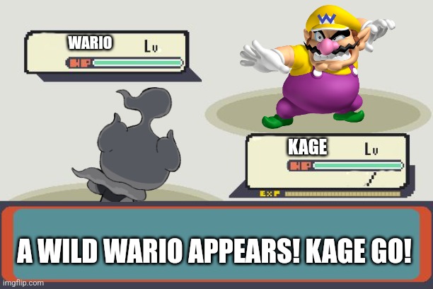 Wario faints to his death fighting Kage.mp3 | WARIO; KAGE; A WILD WARIO APPEARS! KAGE GO! | image tagged in pokemon battle | made w/ Imgflip meme maker