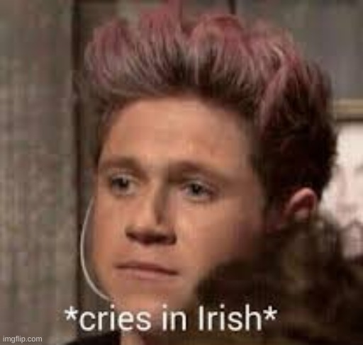 Cries in irish | image tagged in cries in irish | made w/ Imgflip meme maker