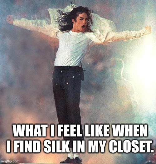 Michael Jackson Black or White | WHAT I FEEL LIKE WHEN I FIND SILK IN MY CLOSET. | image tagged in michael jackson black or white | made w/ Imgflip meme maker