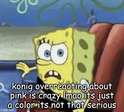 bro what | konig overreacting about pink is crazy lmao its just a color its not that serious | image tagged in bro what | made w/ Imgflip meme maker