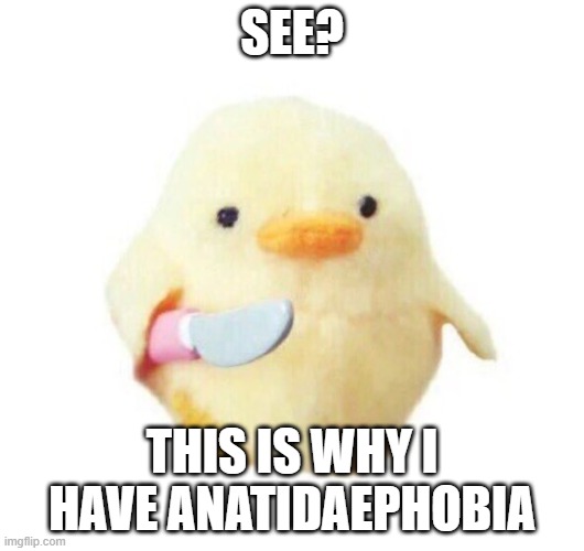 Anatidaephobia: The fear of a duck watching you | SEE? THIS IS WHY I HAVE ANATIDAEPHOBIA | image tagged in duck with knife,anatidaephobia | made w/ Imgflip meme maker