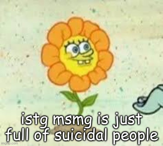 at least most of them are people I don't fw | istg msmg is just full of suicidal people | image tagged in flowey | made w/ Imgflip meme maker