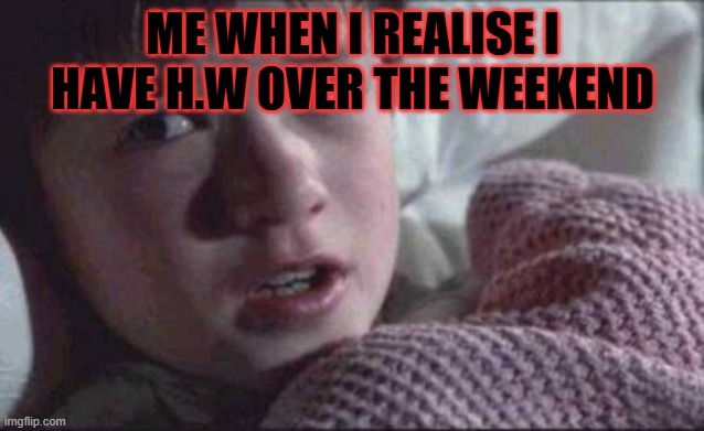 I See Dead People | ME WHEN I REALISE I HAVE H.W OVER THE WEEKEND | image tagged in memes,i see dead people | made w/ Imgflip meme maker