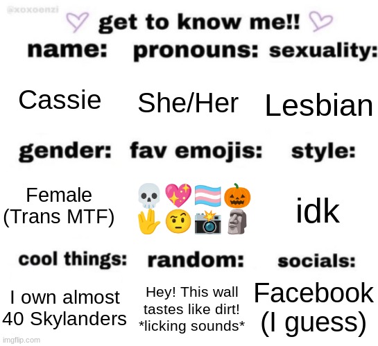 Hopping on before it dies! | Cassie; She/Her; Lesbian; 💀💖🏳️‍⚧️🎃
🖖🤨📸🗿; idk; Female
(Trans MTF); Facebook (I guess); Hey! This wall tastes like dirt!
*licking sounds*; I own almost 40 Skylanders | image tagged in get to know me but better | made w/ Imgflip meme maker