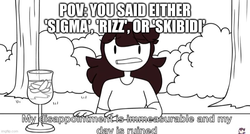 Bruv | POV: YOU SAID EITHER 'SIGMA', 'RIZZ', OR 'SKIBIDI' | image tagged in jaiden animations disappointment,relatable,funny,memes | made w/ Imgflip meme maker