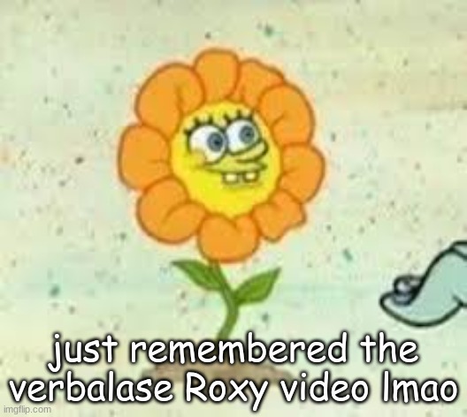 "it was months ago!!" idgaf but ok | just remembered the verbalase Roxy video lmao | image tagged in flowey | made w/ Imgflip meme maker