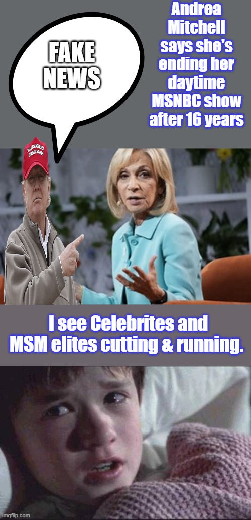 Headum up , Move um out.Going home to her  Former FED chair  big daddy You starting to see how they're all conected yet ?Alan G | Andrea Mitchell says she's ending her daytime MSNBC show after 16 years; FAKE NEWS; I see Celebrites and MSM elites cutting & running. | image tagged in memes,i see dead people | made w/ Imgflip meme maker