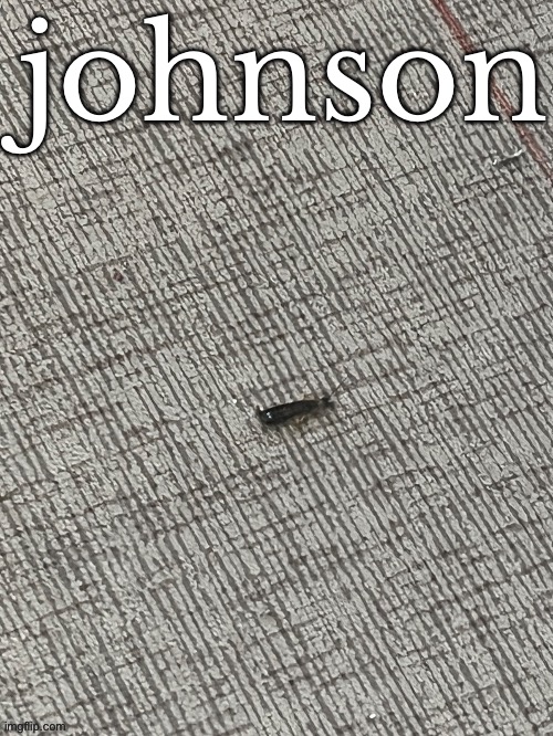 johnson | made w/ Imgflip meme maker