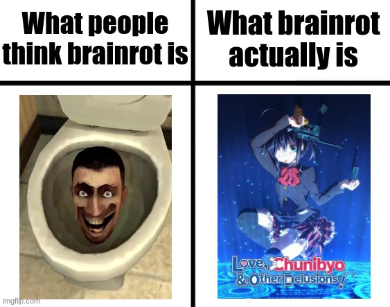 I feel myself falling into delusion simply by watching this anime | What brainrot actually is; What people think brainrot is | image tagged in comparison chart,chunibyo,rikka,skibidi | made w/ Imgflip meme maker