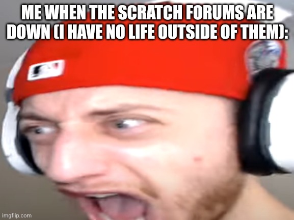 Wubzzy Scream | ME WHEN THE SCRATCH FORUMS ARE DOWN (I HAVE NO LIFE OUTSIDE OF THEM): | image tagged in wubzzy scream,scratch,forums | made w/ Imgflip meme maker