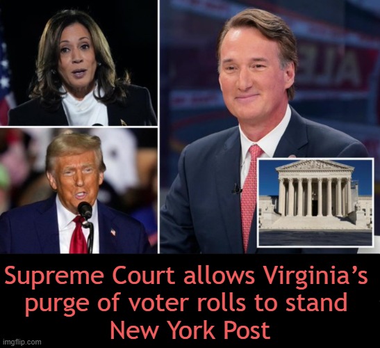 COMMON SENSE! Non-citizens should not VOTE. | Supreme Court allows Virginia’s 
purge of voter rolls to stand 
New York Post | image tagged in politics,virginia,illegals,supreme court,voting,election fraud | made w/ Imgflip meme maker