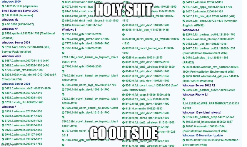 beta community moment | HOLY SHIT; GO OUTSIDE | image tagged in windows | made w/ Imgflip meme maker