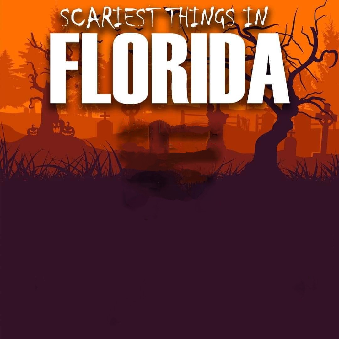 Scariest Things In Florida Blank Meme Template