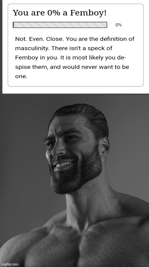 What was this test even about | image tagged in giga chad | made w/ Imgflip meme maker
