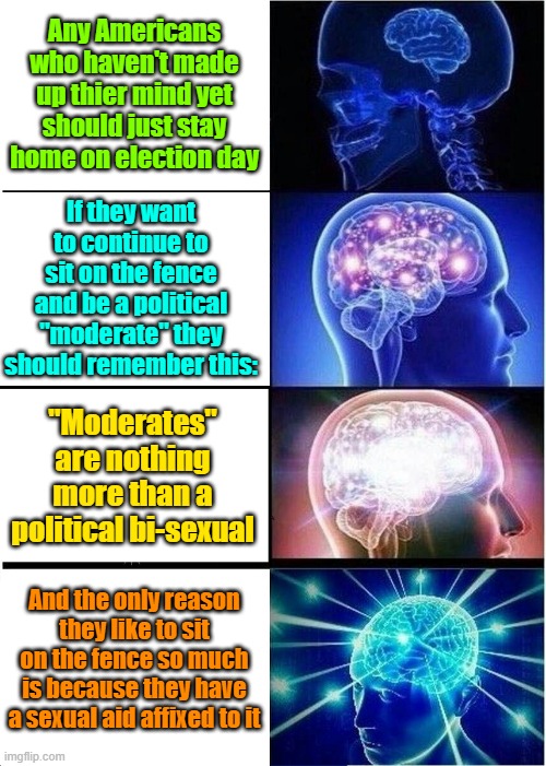 Make up your mind already!! | Any Americans who haven't made up thier mind yet should just stay home on election day; If they want to continue to sit on the fence and be a political "moderate" they should remember this:; "Moderates" are nothing more than a political bi-sexual; And the only reason they like to sit on the fence so much is because they have a sexual aid affixed to it | image tagged in trump,maga,kamala harris,election,voters | made w/ Imgflip meme maker