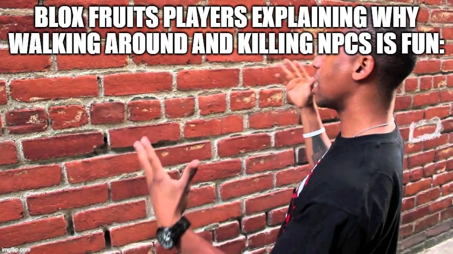 guy explaining to brick wall | BLOX FRUITS PLAYERS EXPLAINING WHY WALKING AROUND AND KILLING NPCS IS FUN: | image tagged in guy explaining to brick wall | made w/ Imgflip meme maker