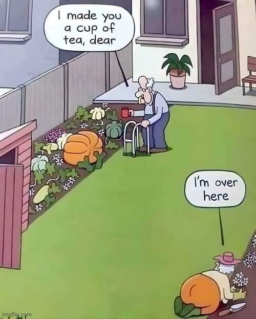 Tea Lovers Be Like | image tagged in memes,funny memes,tea,pumpkin,butt | made w/ Imgflip meme maker