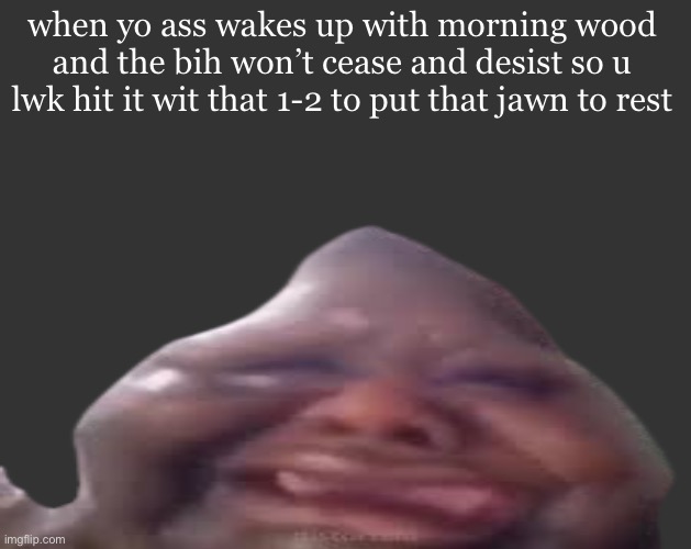 B L | when yo ass wakes up with morning wood and the bih won’t cease and desist so u lwk hit it wit that 1-2 to put that jawn to rest | image tagged in b l | made w/ Imgflip meme maker