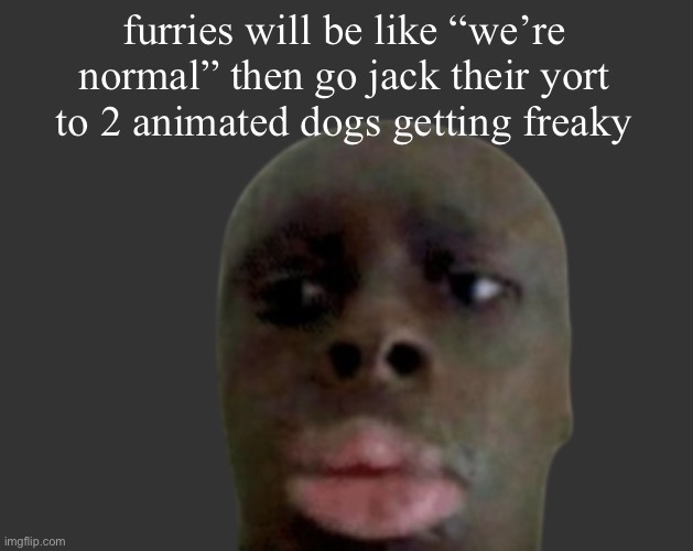 K K | furries will be like “we’re normal” then go jack their yort to 2 animated dogs getting freaky | image tagged in k k | made w/ Imgflip meme maker