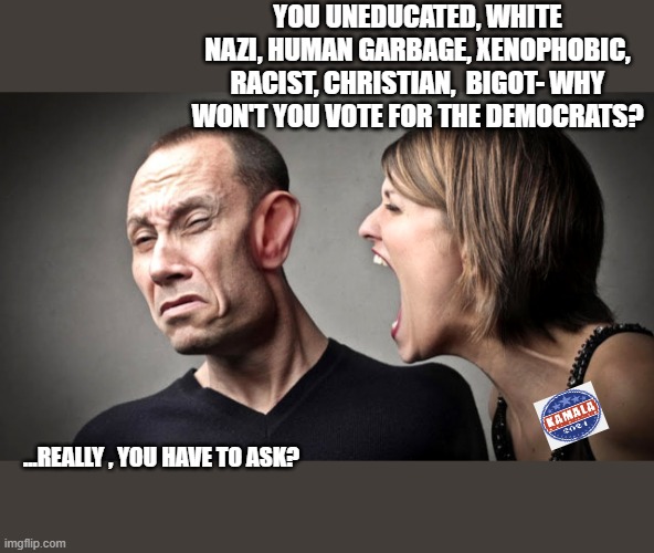 dims made this choice really easy.. | YOU UNEDUCATED, WHITE NAZI, HUMAN GARBAGE, XENOPHOBIC, RACIST, CHRISTIAN,  BIGOT- WHY WON'T YOU VOTE FOR THE DEMOCRATS? ...REALLY , YOU HAVE TO ASK? | image tagged in political humor,funny memes,truth,insults,know the difference | made w/ Imgflip meme maker