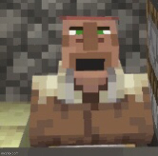 villager looking up | image tagged in villager looking up | made w/ Imgflip meme maker