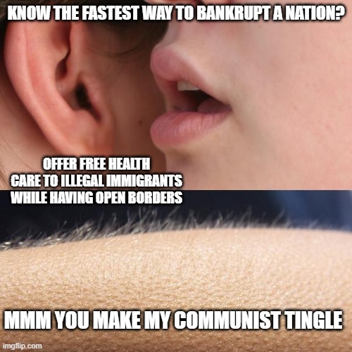 two socialist talking | KNOW THE FASTEST WAY TO BANKRUPT A NATION? OFFER FREE HEALTH CARE TO ILLEGAL IMMIGRANTS WHILE HAVING OPEN BORDERS; MMM YOU MAKE MY COMMUNIST TINGLE | image tagged in whisper and goosebumps,funny memes,political humor,politics lol,donald trump approves | made w/ Imgflip meme maker