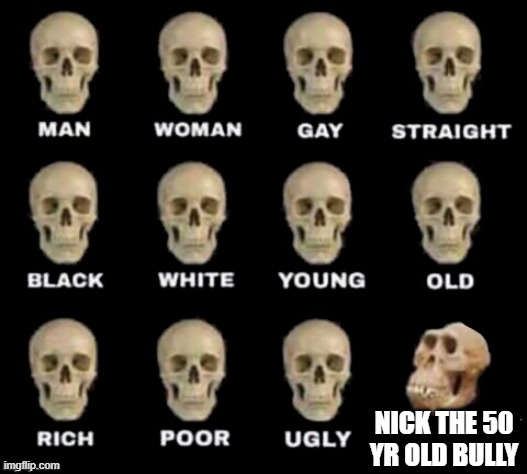 idiot skull | NICK THE 50 YR OLD BULLY | image tagged in idiot skull | made w/ Imgflip meme maker