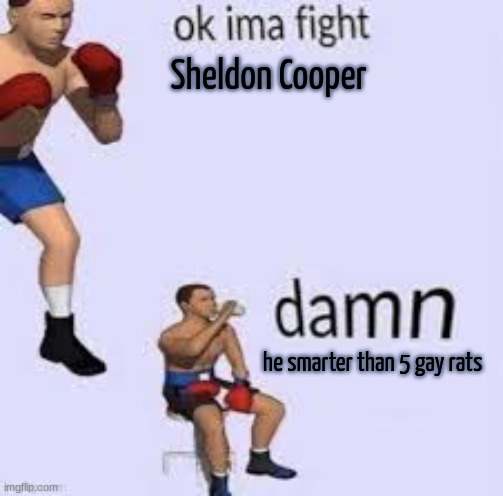 Ok imma fight | Sheldon Cooper he smarter than 5 gay rats | image tagged in ok imma fight | made w/ Imgflip meme maker