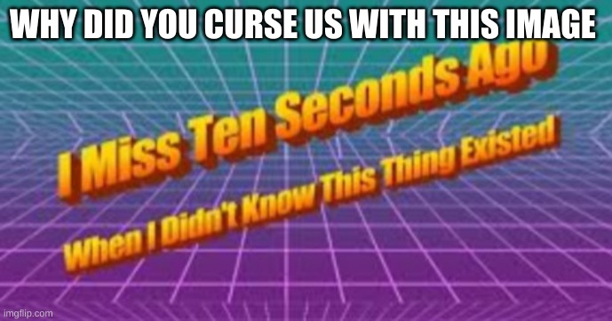 I miss ten seconds ago | WHY DID YOU CURSE US WITH THIS IMAGE | image tagged in i miss ten seconds ago | made w/ Imgflip meme maker