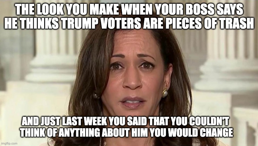 Time To Dump The Party of Joy and Unity | THE LOOK YOU MAKE WHEN YOUR BOSS SAYS
HE THINKS TRUMP VOTERS ARE PIECES OF TRASH; AND JUST LAST WEEK YOU SAID THAT YOU COULDN'T
 THINK OF ANYTHING ABOUT HIM YOU WOULD CHANGE | image tagged in biden,kamala,we'll change nothing | made w/ Imgflip meme maker