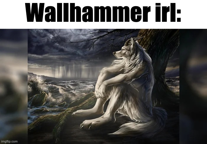 Sigma Wolf | Wallhammer irl: | image tagged in sigma wolf | made w/ Imgflip meme maker