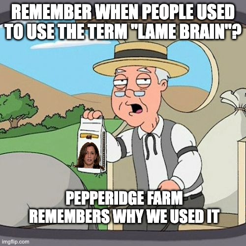 Pepperidge Farm Remembers | REMEMBER WHEN PEOPLE USED TO USE THE TERM "LAME BRAIN"? PEPPERIDGE FARM REMEMBERS WHY WE USED IT | image tagged in memes,pepperidge farm remembers | made w/ Imgflip meme maker