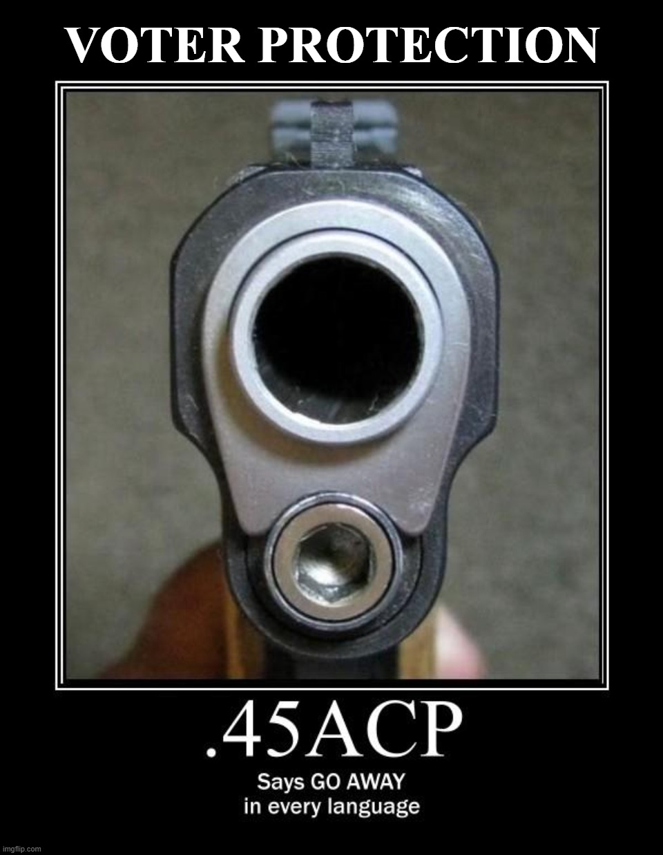 Voter Protection | VOTER PROTECTION | image tagged in voter protection,voter fraud,election fraud,45 acp,go away | made w/ Imgflip meme maker