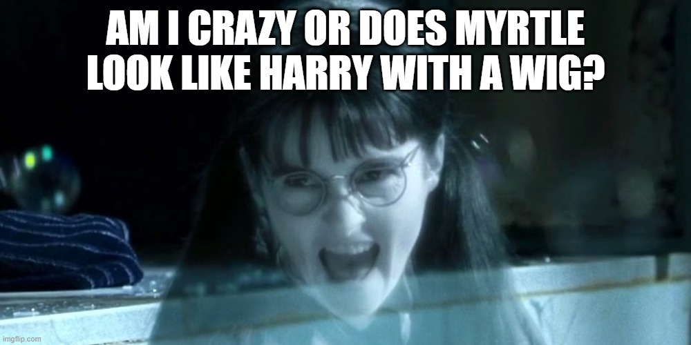 I can't unsee it | AM I CRAZY OR DOES MYRTLE LOOK LIKE HARRY WITH A WIG? | made w/ Imgflip meme maker