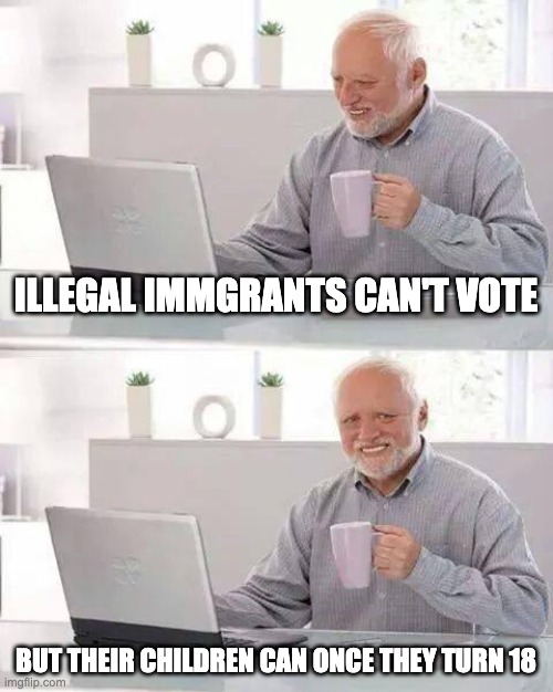 How to Create More Democrats | ILLEGAL IMMGRANTS CAN'T VOTE; BUT THEIR CHILDREN CAN ONCE THEY TURN 18 | image tagged in memes,hide the pain harold | made w/ Imgflip meme maker